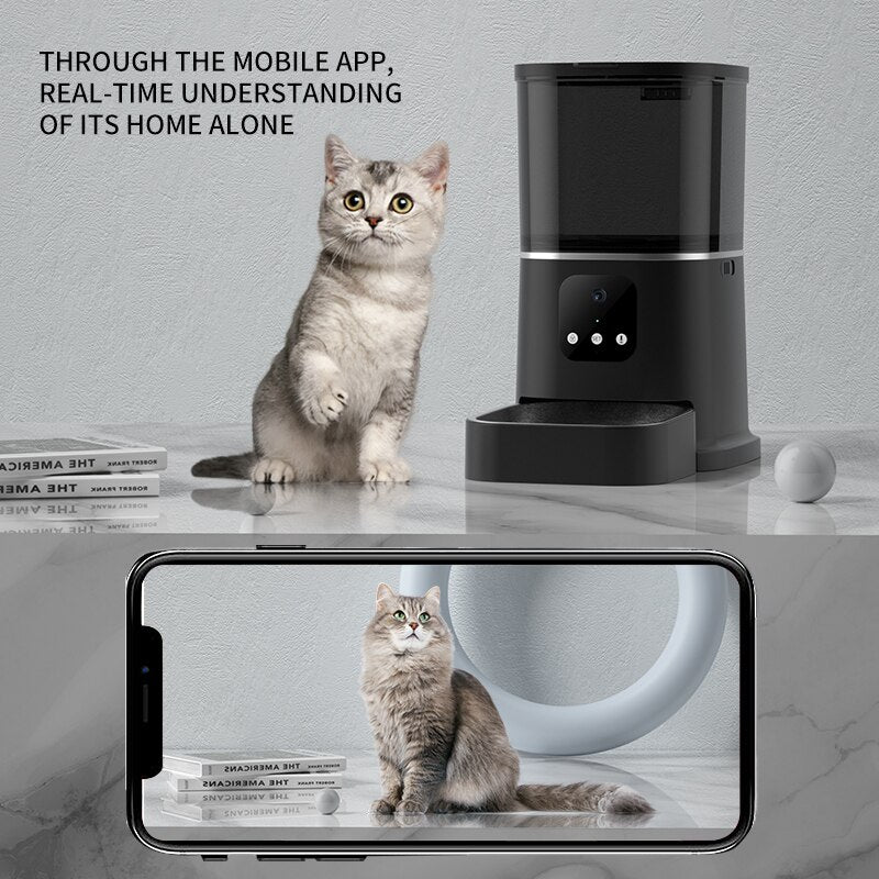 6L Large Capacity Pet Automatic Feeder Smart Voice Recorder APP Control Timer Feeding Cat Dog Food Dispenser With WiFi Pet Bowl