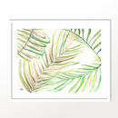 Flowing Fern Morning I