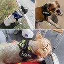 Reflective Adjustable Dog Nylon Harnesses with Customizable Name Labels Dog Vest Strap for Large Medium Small Dogs Drop-Shipping - anconmall