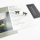 Bow Knot Stud Earrings,Europe Style Glam Fine Jewerly For Women Gift In 925 Sterling Silver