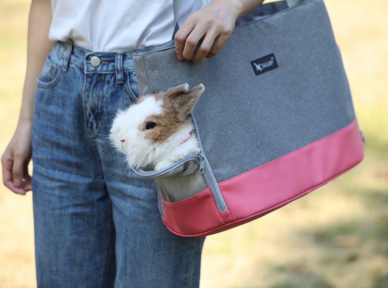 Pet Dog Tote Bag with Traction Leash 3 Mesh Openings Ventilated Small Sized Pet Sling Carrier Puppy Outgoing Single Shoulder Bag