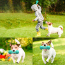 Dog Toys Molar Bite Rubber Rods Chew Toys Cleaning Non-toxic TPR Soft Dog Toothbrush For Small Medium Large Dog Supplies - anconmall