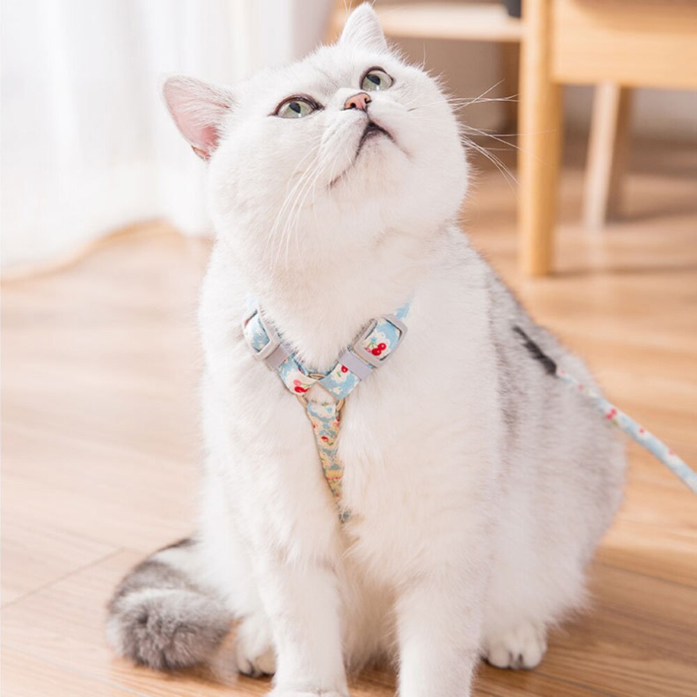 Japanese Style Adjustable Nylon Collars for Pet Cats Anti-Breakaway Harness and Walking Leash Set Kitten Vest Leads Pet Supplies - anconmall