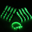4PCS Luminous Collars For Cat Pet Collar For Cats And Dogs Luminous Bell Collar Adjustable Rubber Luminous - anconmall