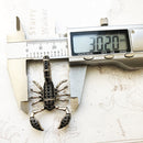 Scorpion Link Chain Necklace,925 Sterling Silver Fashion Jewelry Europe Style Rebel Gift For Men & Women Friend