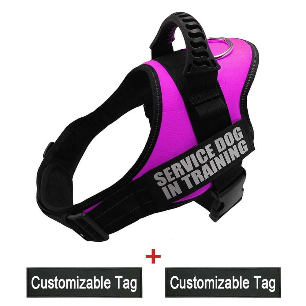 Reflective Adjustable Dog Nylon Harnesses with Customizable Name Labels Dog Vest Strap for Large Medium Small Dogs Drop-Shipping - anconmall
