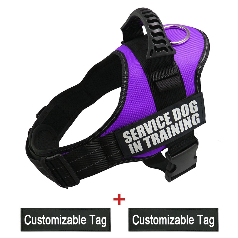 Reflective Adjustable Dog Nylon Harnesses with Customizable Name Labels Dog Vest Strap for Large Medium Small Dogs Drop-Shipping - anconmall