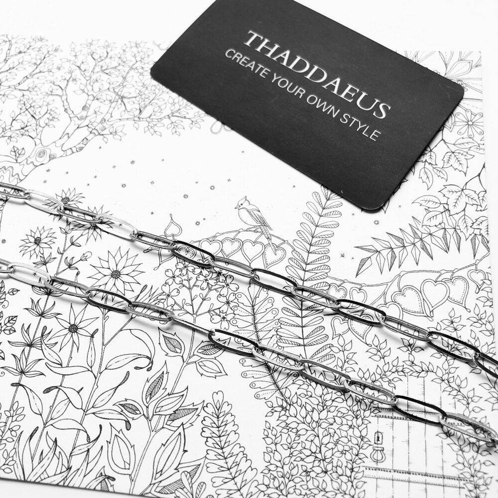 Charm Necklace Link Chain Winter New Fashion Jewelry Europe 925 Sterling Silver Gift For Women Men