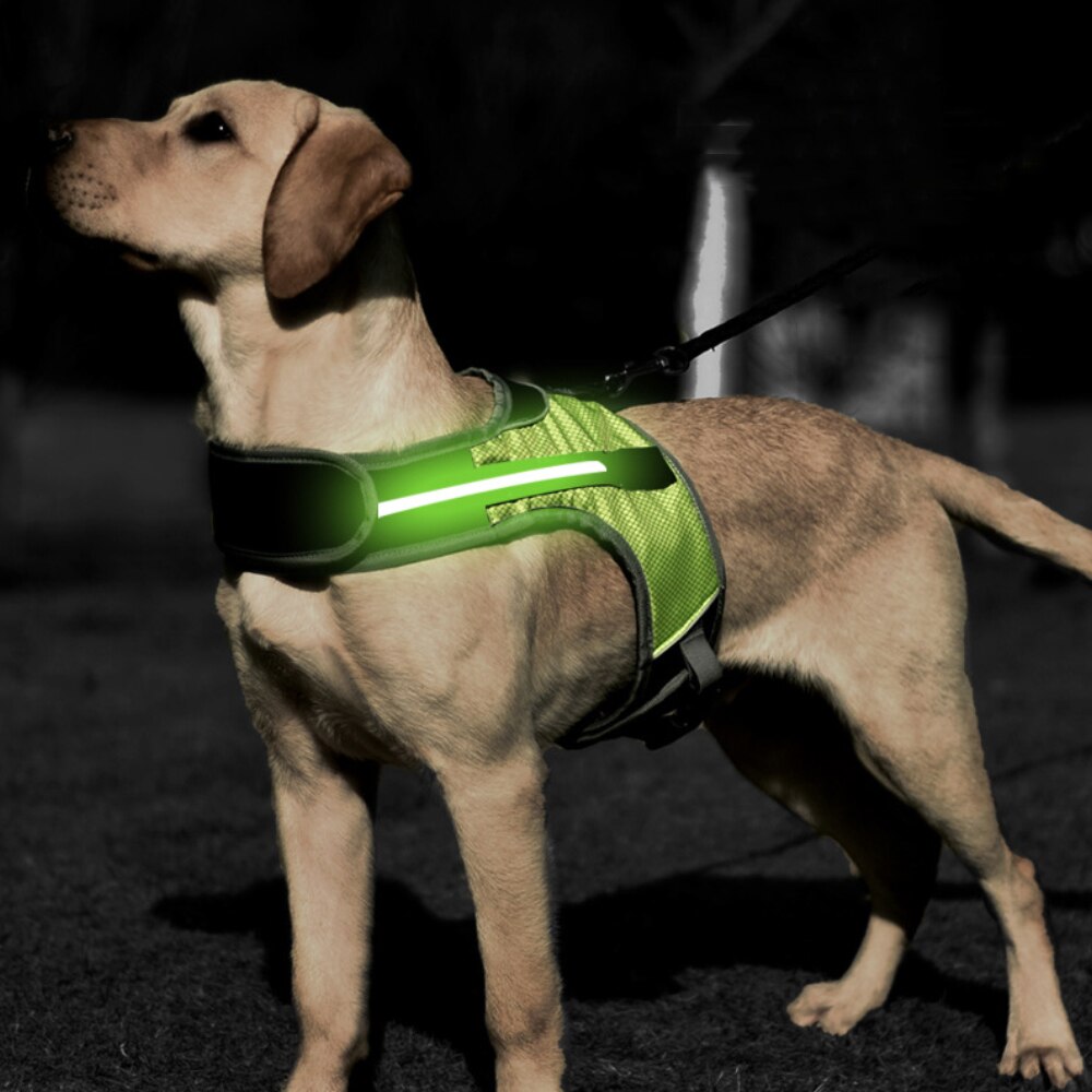 Dog Harness with Luminous LED Light Bar Night Safety Reflective Vest for Husky Shepherd Labrador Medium Large Dogs Pet Supplies - anconmall