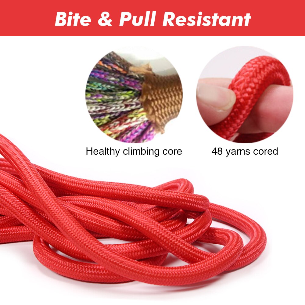 Long Outdoor Dog Leash 2m/3m/5m/10m Round Nylon Cat Rope with Cotton Handle Training Walking Leash for Small Medium Large Dogs - anconmall