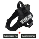 Reflective Adjustable Dog Nylon Harnesses with Customizable Name Labels Dog Vest Strap for Large Medium Small Dogs Drop-Shipping - anconmall