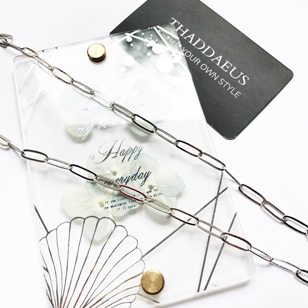 Charm Necklace Link Chain Winter New Fashion Jewelry Europe 925 Sterling Silver Gift For Women Men