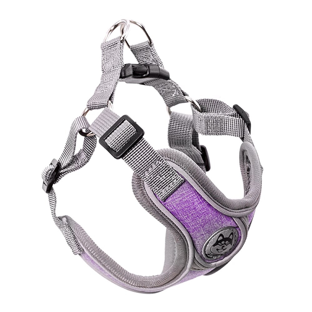 Dog Harness Leash Set No Pull Nylon Vest Harnesses Reflective Chest Strap Leads for Small Large Dogs Teddy, Pug, French Bulldog - anconmall