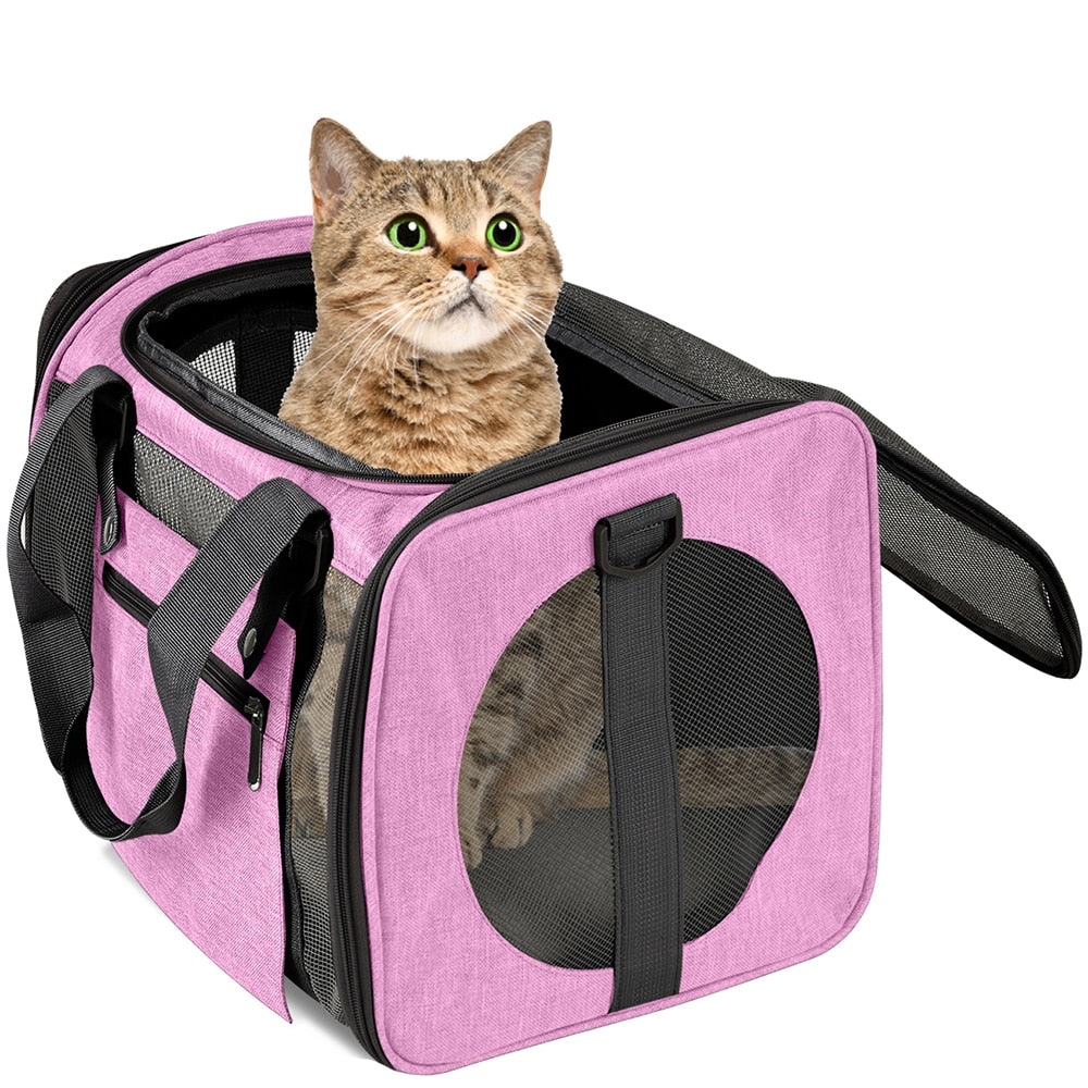 Cat Backpack Soft Sided Pet Carrier Bag Cat Transport Bag With Mesh Window Airline Approved Carrying Backpack For Cats And Dogs - anconmall