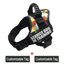 Reflective Adjustable Dog Nylon Harnesses with Customizable Name Labels Dog Vest Strap for Large Medium Small Dogs Drop-Shipping - anconmall