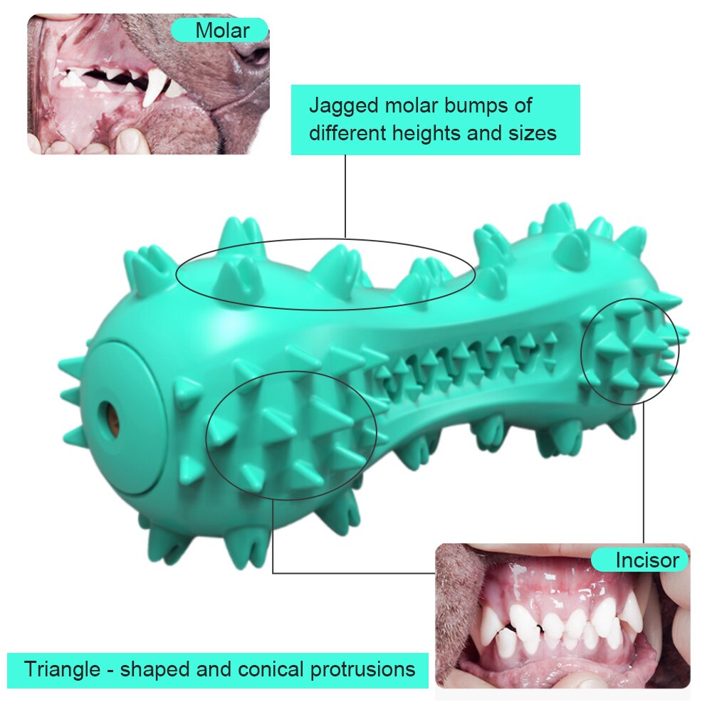 Dog Toys Molar Bite Rubber Rods Chew Toys Cleaning Non-toxic TPR Soft Dog Toothbrush For Small Medium Large Dog Supplies - anconmall