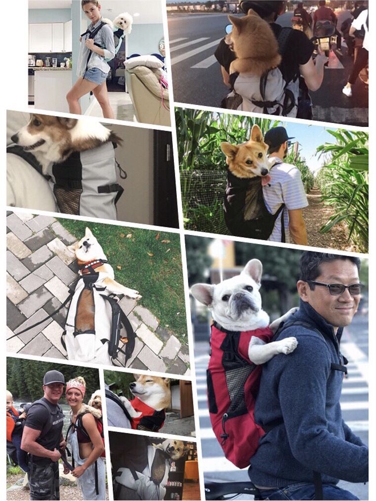 Pet Dog Carrier Travel Backpack Outdoor Double Shoulder Bag with Mesh Breathable Bicycle Motorcycle Hiking Bag for Dogs 4 Sizes - anconmall