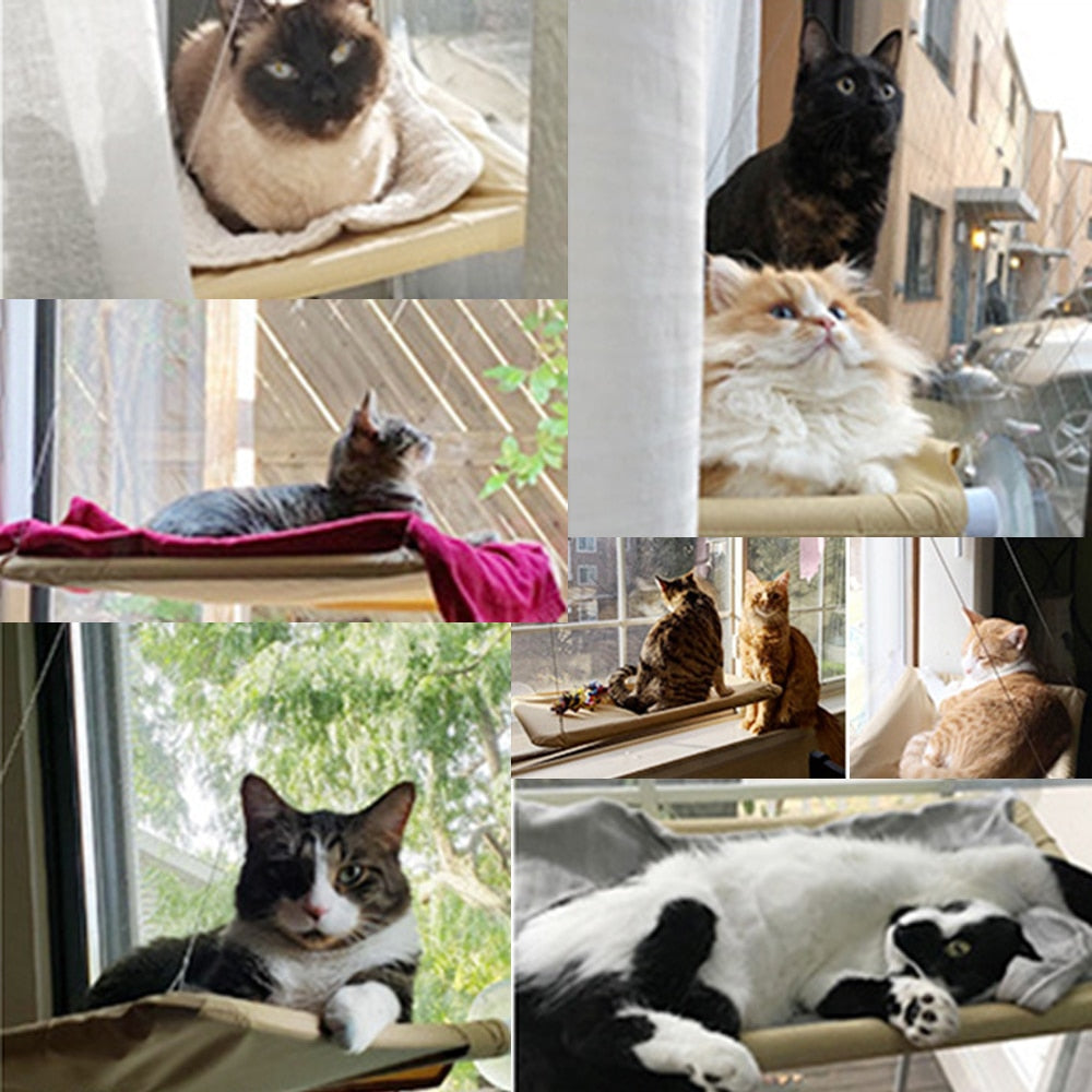 Cat Hanging Bed Comfortable Kitten Hammock Perch Cat Sunny Window Seat Mount Sleeping Hammock For Cats On The Window - anconmall