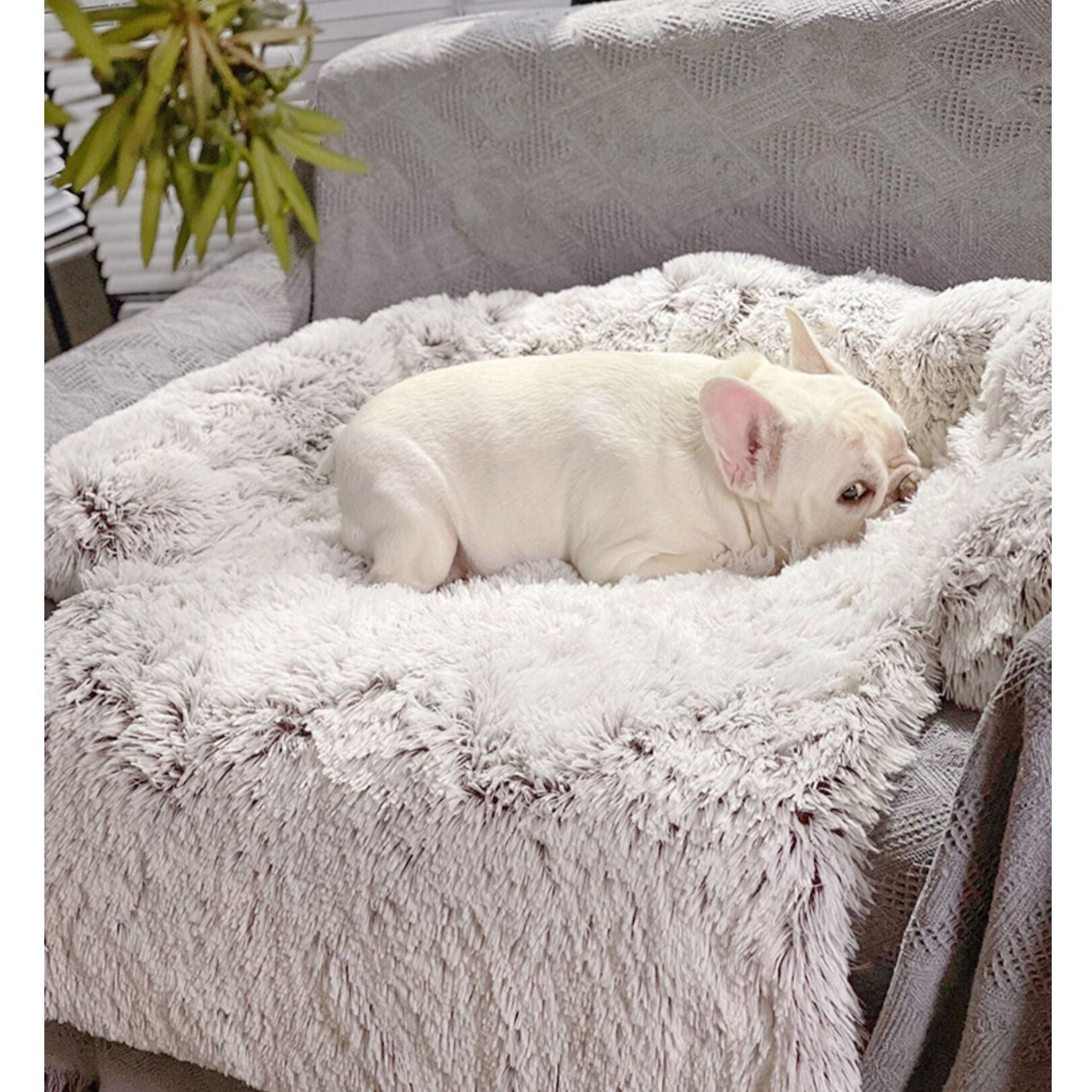Comfortable Upholstered Sleeping Plush Blanket Pet Dog Bed Sofa Soft Thickening Cushion Pet Mat for Small Medium and Large Dogs - anconmall