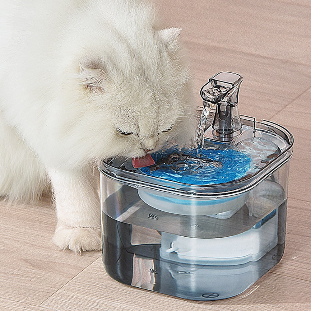 Transparent Fountain For Cats With Faucet USB Silent Automatic Pet Cat Filter Feeder Dog Drinking Bowl Motion Sensor Dispenser