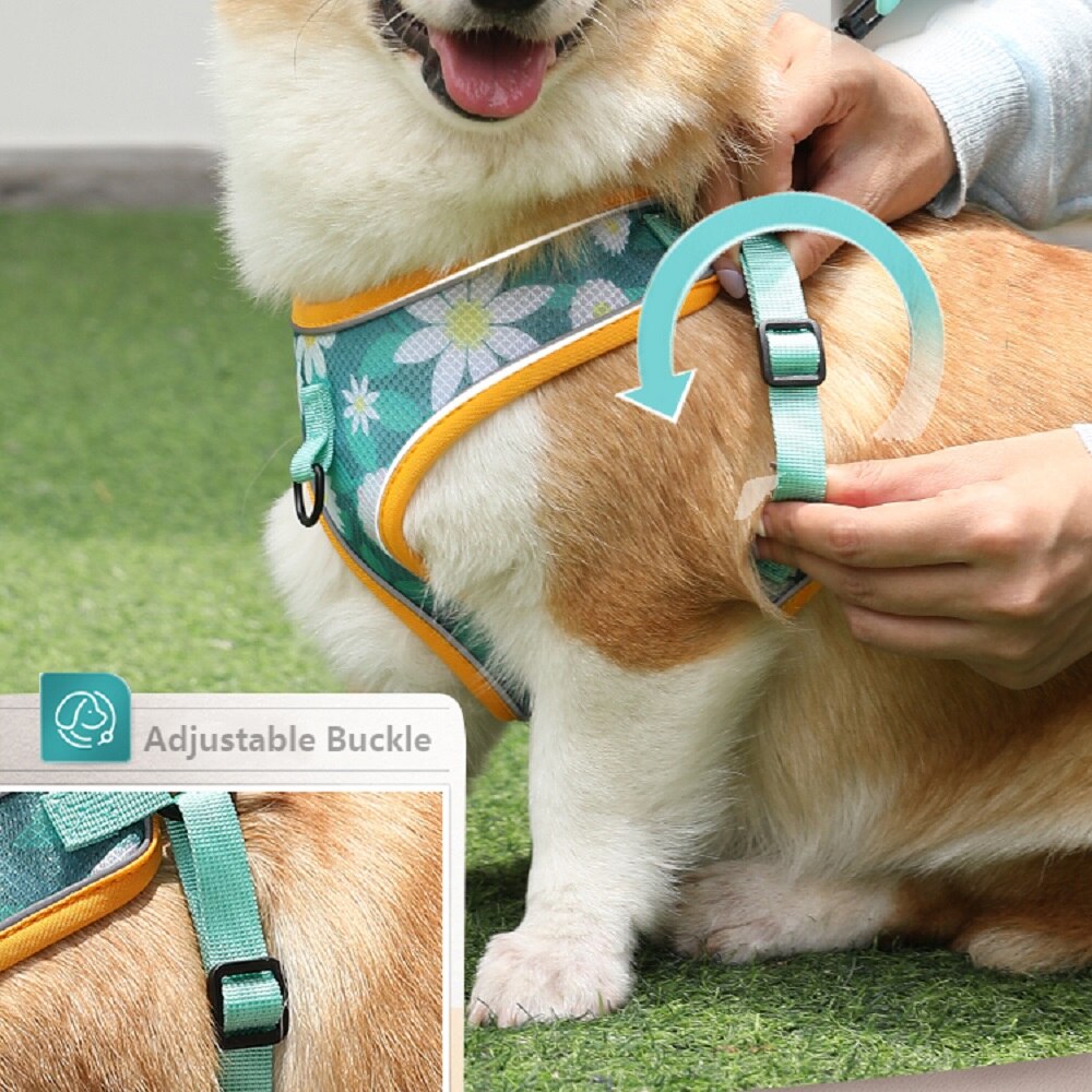 Dog Harness with 1.2m Traction Leash Set Adjustable Mesh Breathable Vest Type Chest Strap Puppy Colorful Doodle for Medium Dogs - anconmall