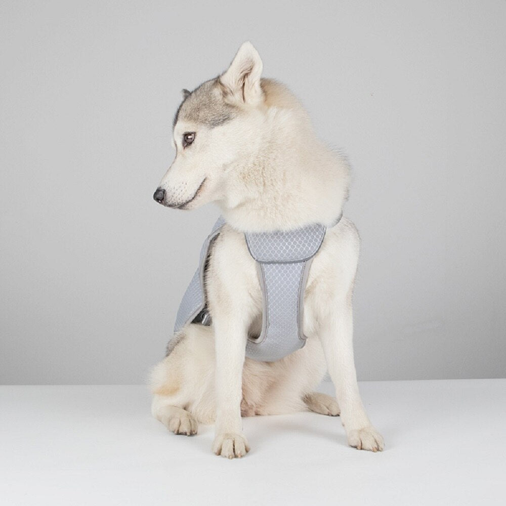 Summer Cooling Breathable Dog Harness Reflective Lightweight Chest Strap Mesh Vest Sultry Weather to Prevent Heat Stroke in Dogs - anconmall