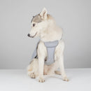 Summer Cooling Breathable Dog Harness Reflective Lightweight Chest Strap Mesh Vest Sultry Weather to Prevent Heat Stroke in Dogs - anconmall