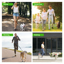 2m Hands-Free Bungee Nylon Dog Leash with Adjustable Waist Belt Reflective Stitching and Padded Handle for Pets Running Training - anconmall