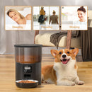 Automatic Pet Feeder Smart Food Dispenser For Cats Dogs Timer Stainless Steel Bowl Auto Dog Cat Pet Feeding Pet Supplies
