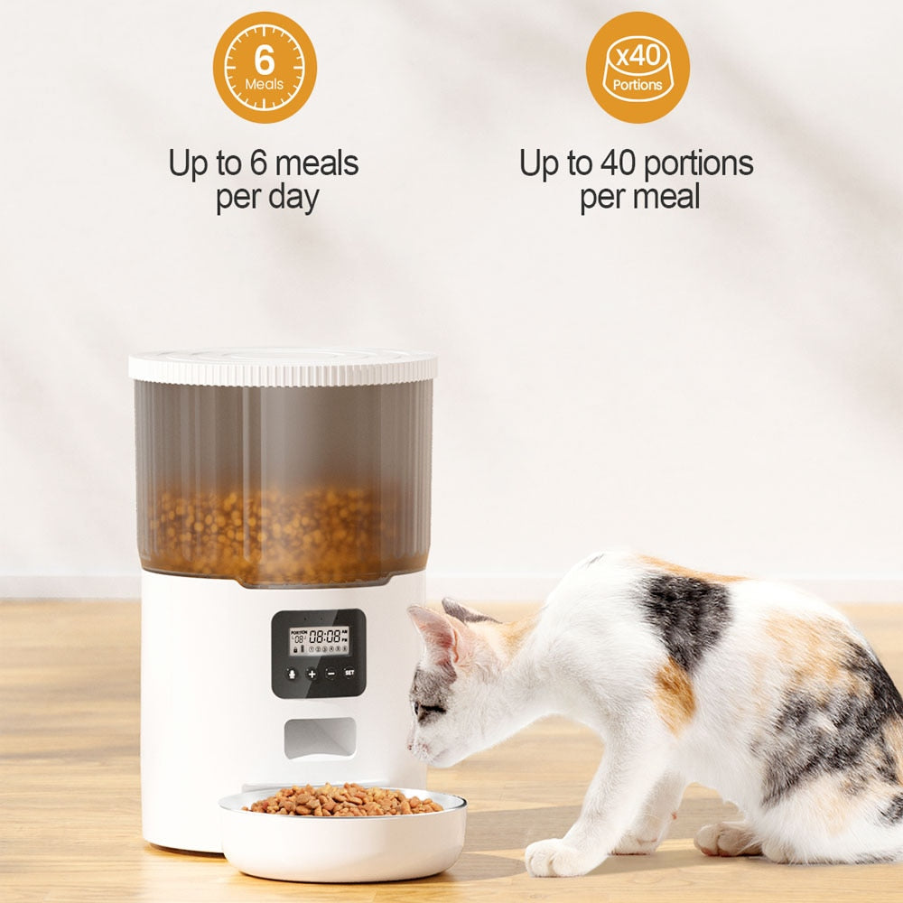4L Button Smart Automatic Pet Feeder With Stainless Steel Bowl Timing Voice For Dog Cat Auto Feeding Bowl Pet Dry Food Dispenser