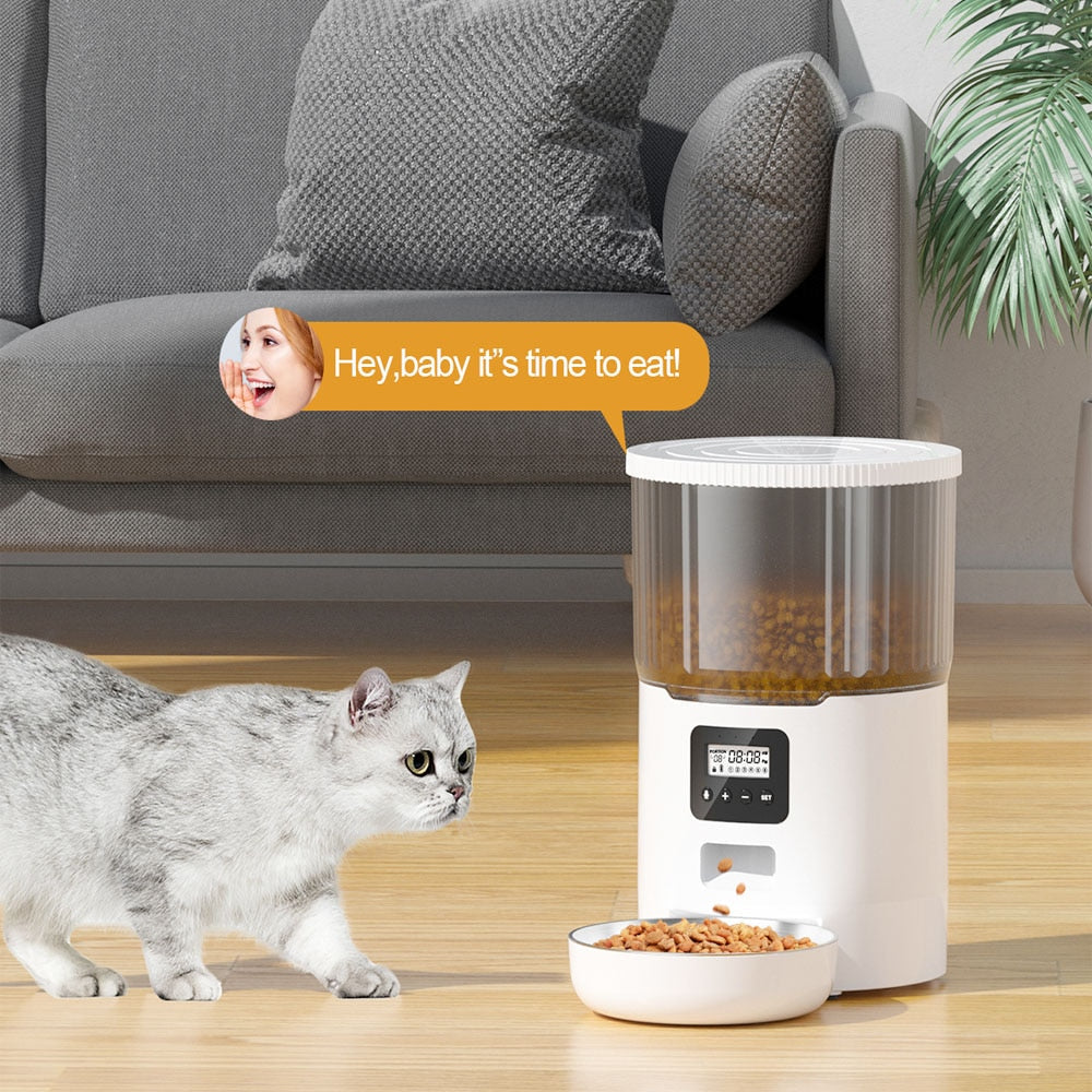 Automatic Pet Feeder Smart Food Dispenser For Cats Dogs Timer Stainless Steel Bowl Auto Dog Cat Pet Feeding Pet Supplies