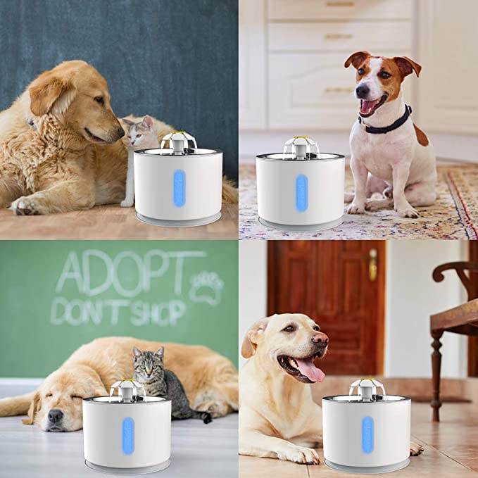 Cat Water Fountain Automatic Pet Dog Drinking Active Carbon Filter Electric Dispenser Bowl LED Drink Cats Drinker USB Powered