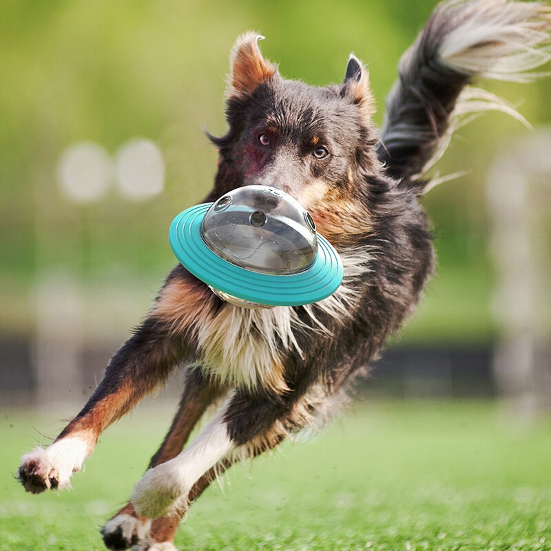 Flying Saucer Dog Game Fly Discs Toys Cat Chew Leaking Slow Food Feeder Ball Puppy IQ Training Funny Toy Anti Choke Puzzle Dogs