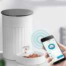 Smart Wifi APP Pet Feeder Dog And Cat Button Control Food Automatic Dispenser Bowl Dogs And Cats With Recording Timing Feeding - anconmall