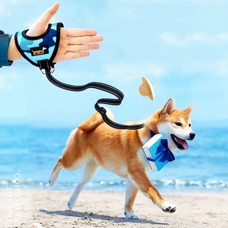 Hand Grip Reflective Adjustable 1.5 m Pet Nylon Traction Leash with Soft Camo Padded Suitable for Small Medium Large Dog and Cat