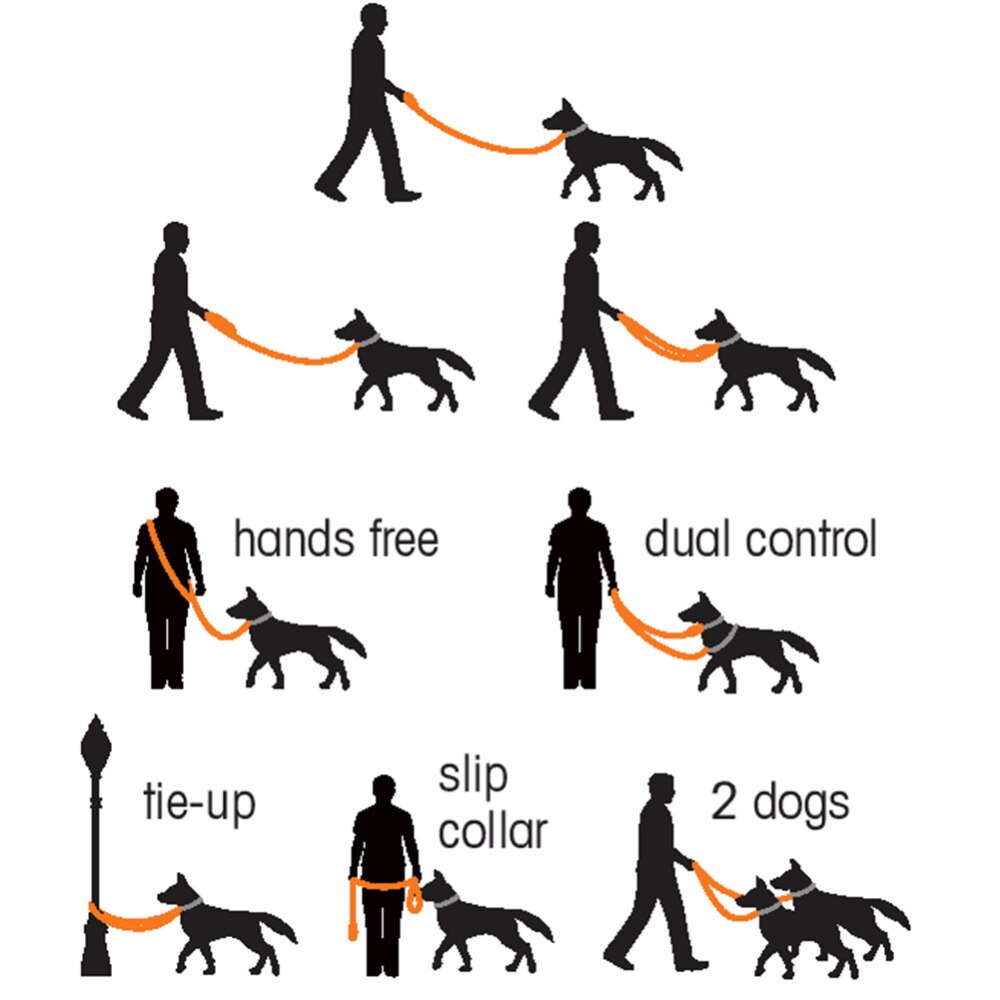 High Toughness Multifunctional Double Dog Leash Traction Rope PVC Material for Pet Waterproof Easy Clean Dog Leash Pet Supplies - anconmall