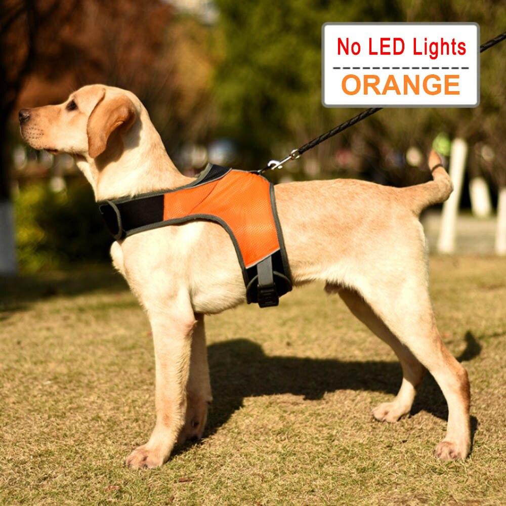 Dog Harness with Luminous LED Light Bar Night Safety Reflective Vest for Husky Shepherd Labrador Medium Large Dogs Pet Supplies - anconmall