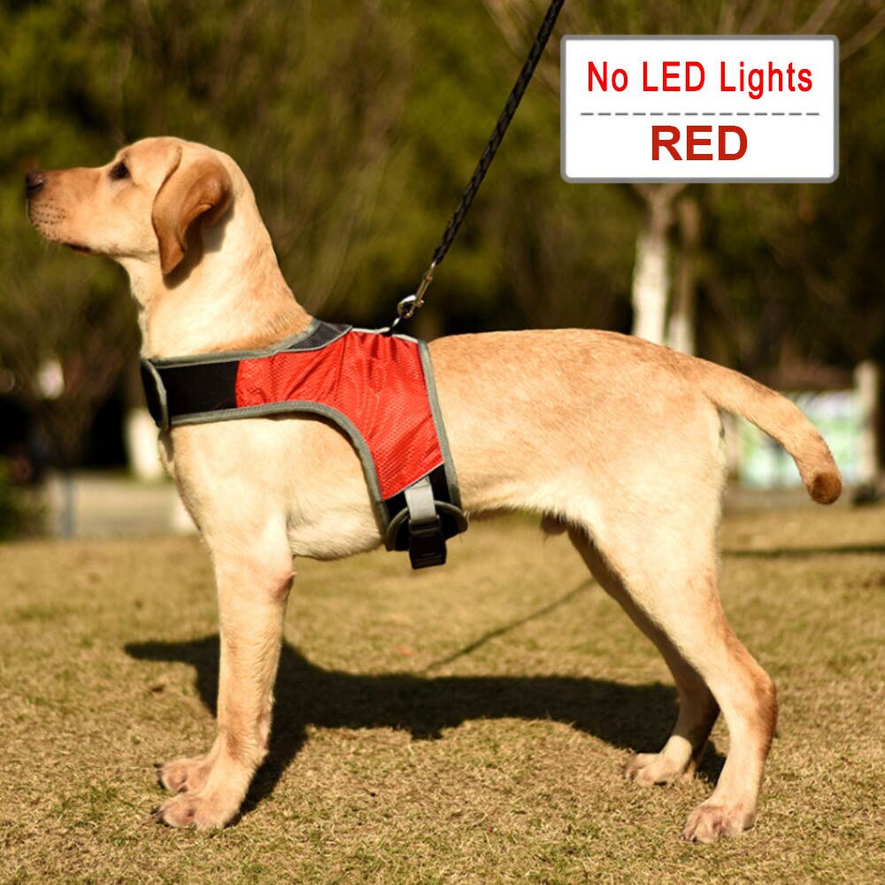 Dog Harness with Luminous LED Light Bar Night Safety Reflective Vest for Husky Shepherd Labrador Medium Large Dogs Pet Supplies - anconmall