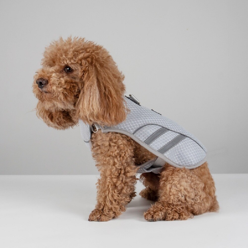 Summer Cooling Breathable Dog Harness Reflective Lightweight Chest Strap Mesh Vest Sultry Weather to Prevent Heat Stroke in Dogs - anconmall