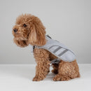 Summer Cooling Breathable Dog Harness Reflective Lightweight Chest Strap Mesh Vest Sultry Weather to Prevent Heat Stroke in Dogs - anconmall