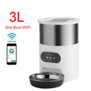 Smart APP Pet Feeder Cat And Dog Food Automatic Dispenser Stainless Steel Bowl Cats And Dogs With Recording Timing Feeding