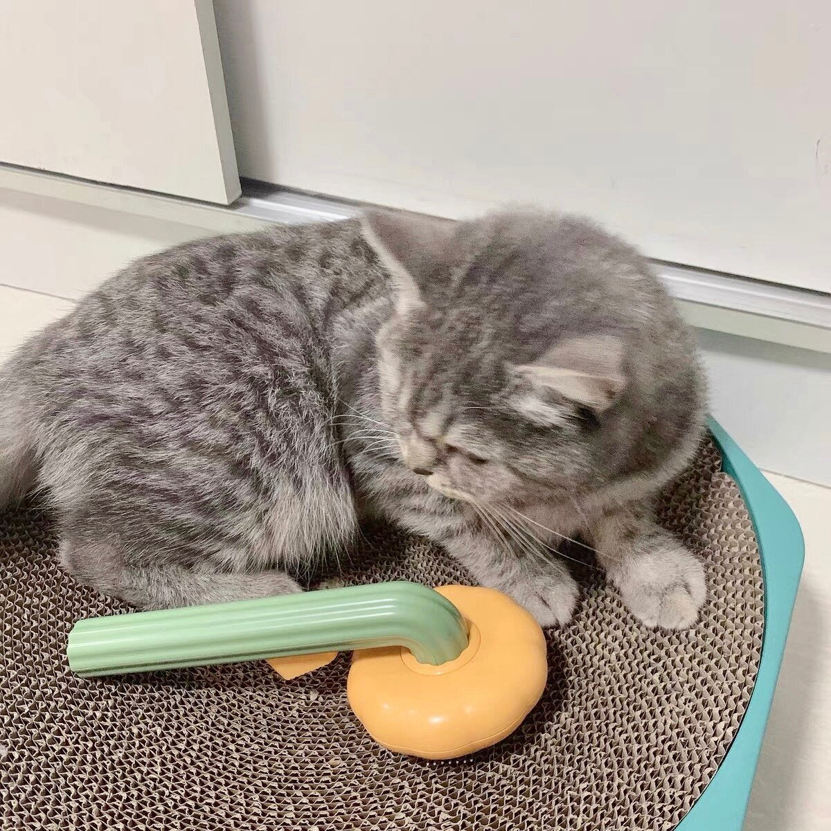 Long-Haired Pet Cat & Dog Slicker Brush One-Click Hair Removal Brush Stainless Steel Pet Grooming Cleaning Tool Pet Supplies - anconmall