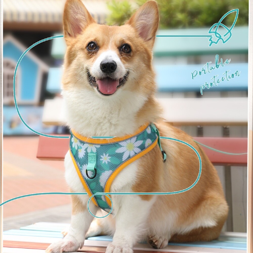 Dog Harness with 1.2m Traction Leash Set Adjustable Mesh Breathable Vest Type Chest Strap Puppy Colorful Doodle for Medium Dogs - anconmall