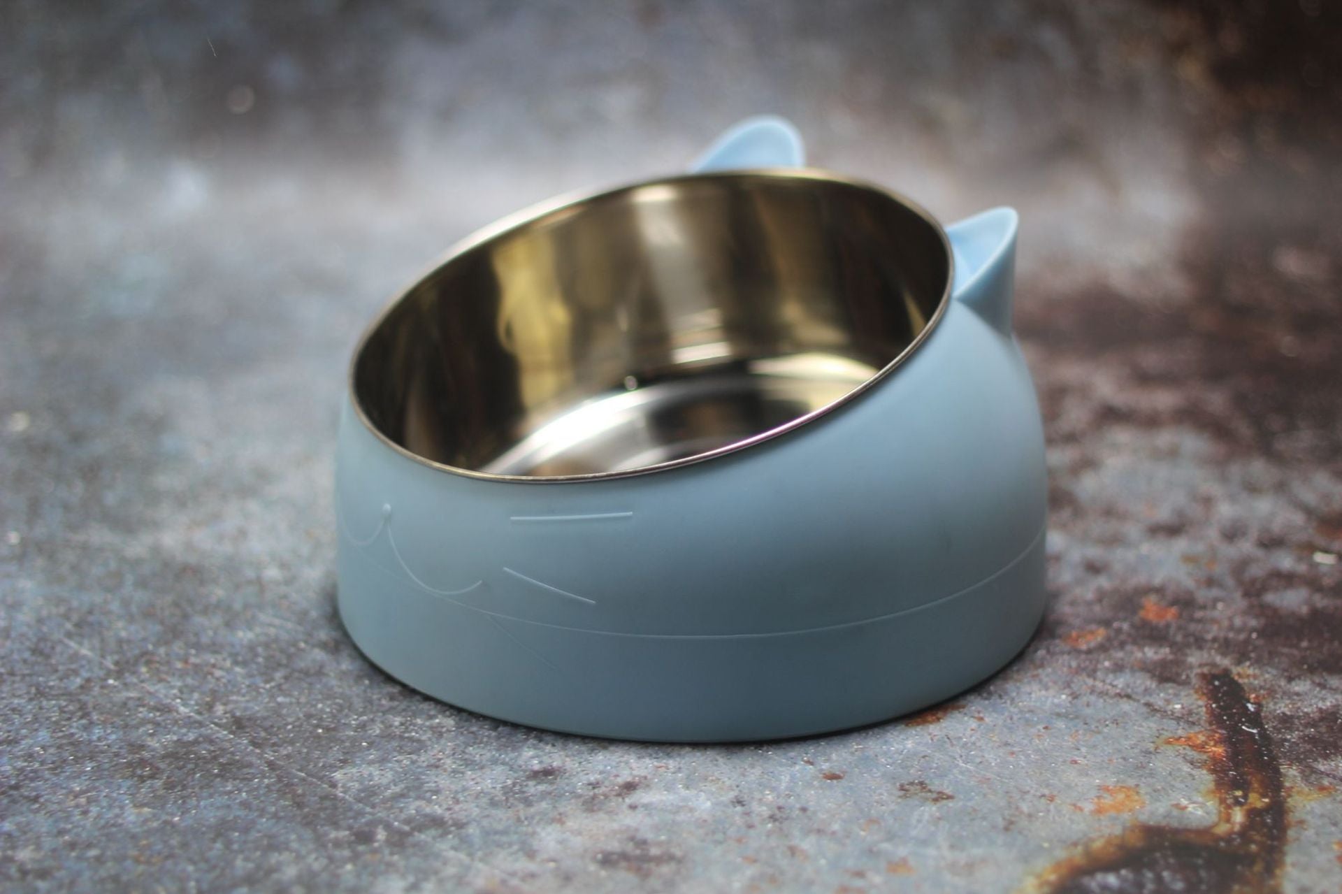 400ml Cat Bowls 15 Degrees Tilted Stainless Steel Dod Bowl Non-slip Base Puppy Pet Food Drink Feeder Neck Protection Dish Bowl