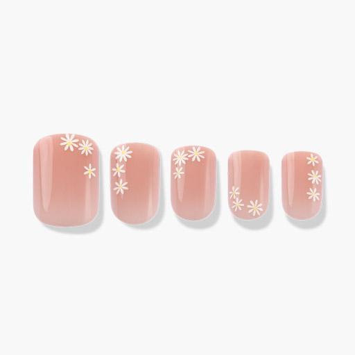 Solids: Coral Pinks